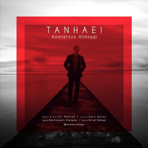 دانلود آهنگ تنهایی حمیدرضا علی بیگی